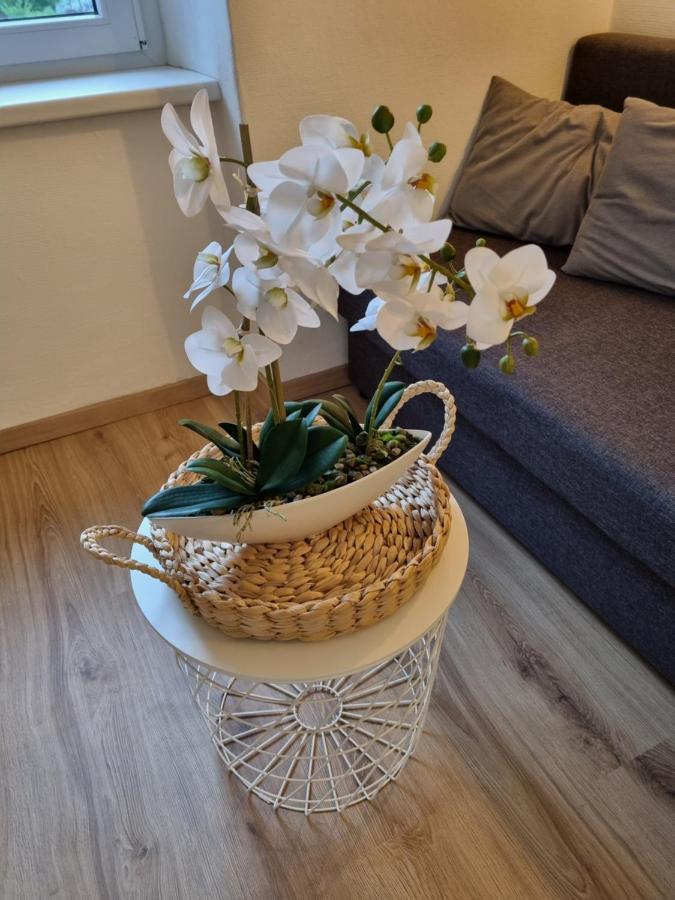 Apartment Seebachhof Edlbach Eksteriør billede